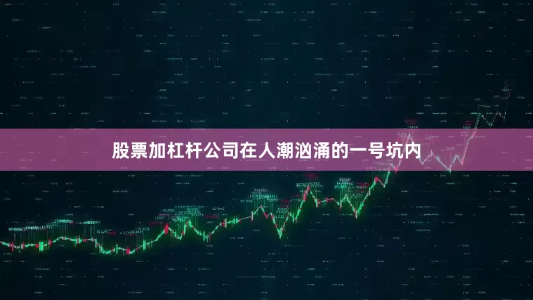 股票加杠杆公司在人潮汹涌的一号坑内