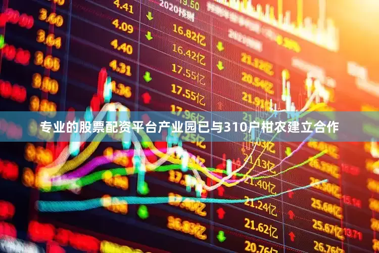 专业的股票配资平台产业园已与310户柑农建立合作
